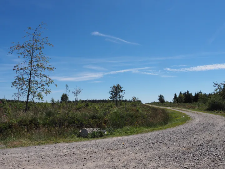 Signal de Botrange (Belgium)